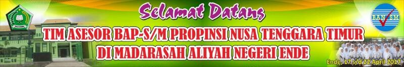 SELAMAT DATANG TIM ASESOR BAP-S/M PROPINSI NTT