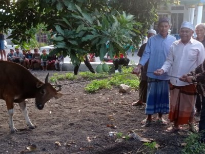 Penyerahan Qurban MAN Ende